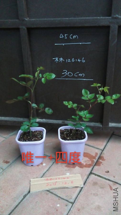 3155b4839880992a.jpg