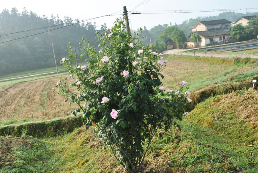 �ҵ��� (1).jpg