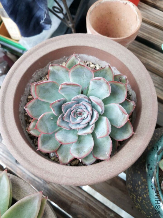 �Ի���