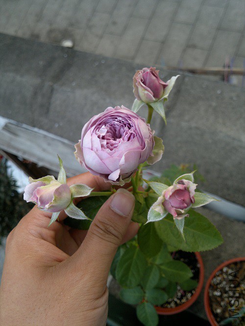 2014-10-19-5339.jpg