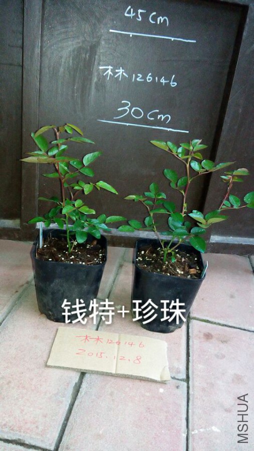 7b5b360294fae368.jpg