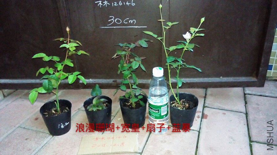 350c963cd88033a3.jpg