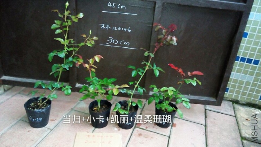 -36ab40036c96033d.jpg