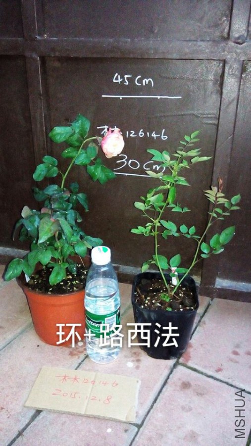 3b35adb986697106.jpg