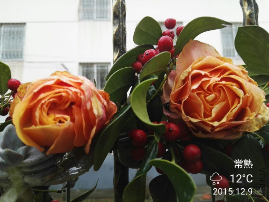 QQͼƬ20151209134005.jpg