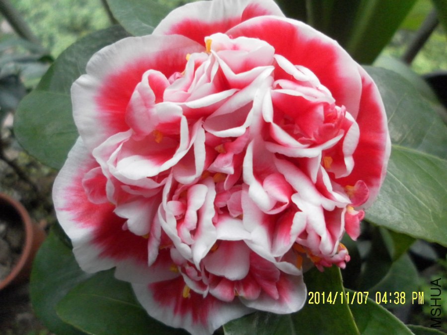 105542nd5xjugder88ekzh (1).jpg