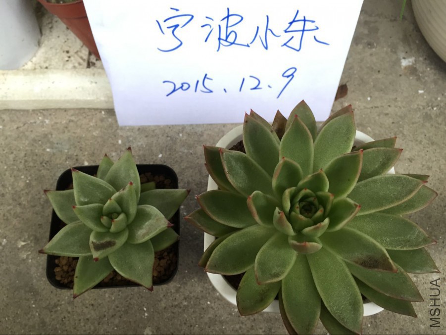 �����Һ춫��