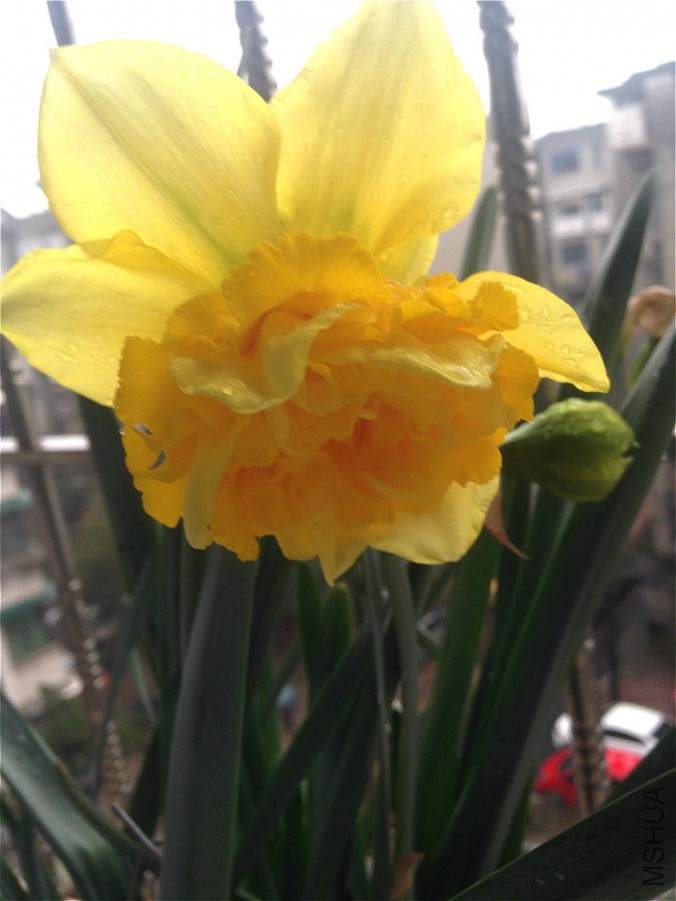 IMG_0580_meitu_17.jpg