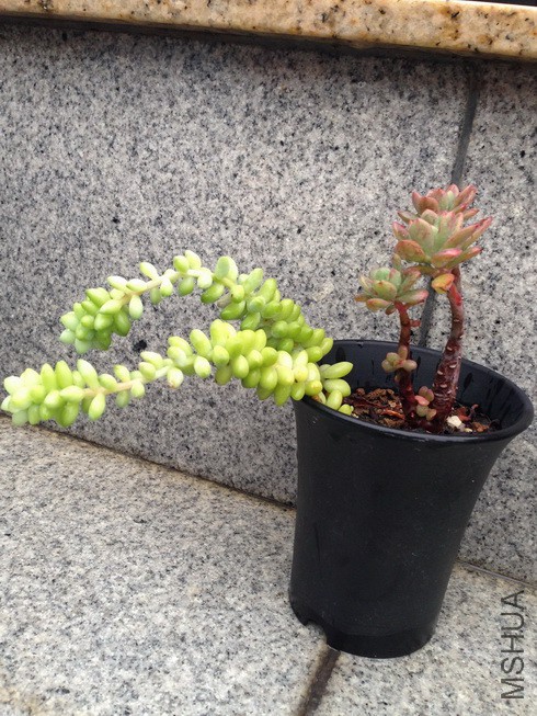 ��׺ ������.jpg