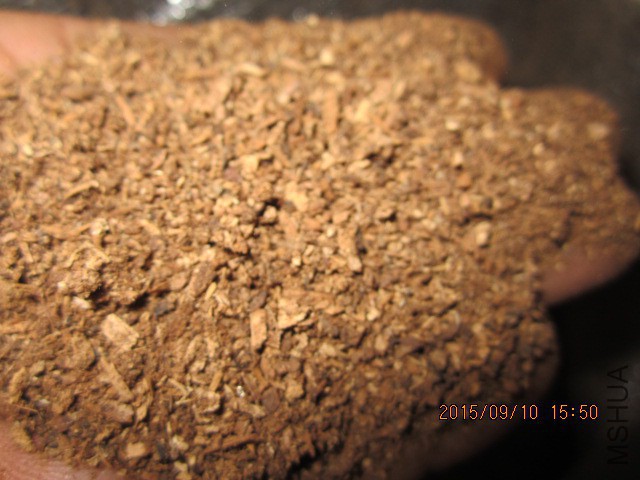 IMG_1153.JPG