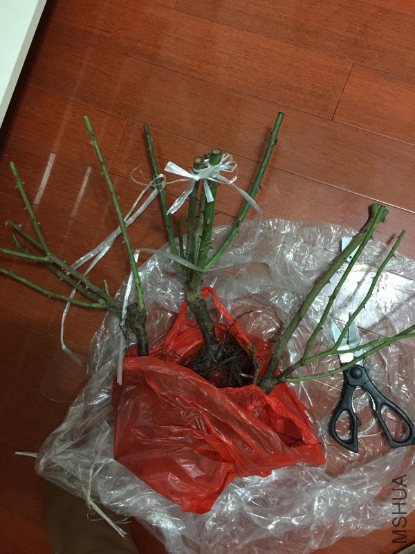 BrowserPreview_tmp (1).jpg