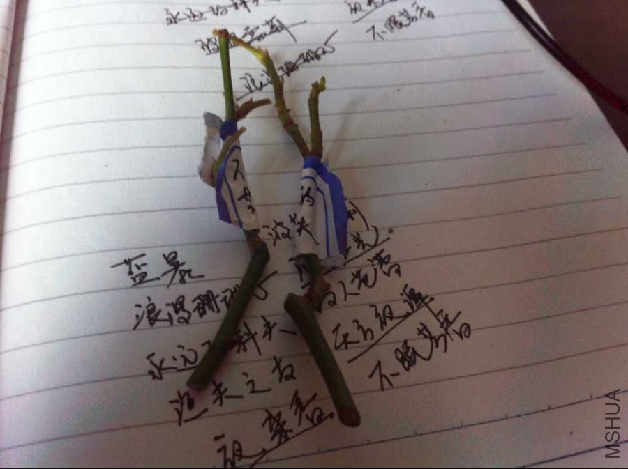 QQͼƬ20151210161845.jpg