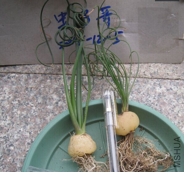 ���������10��11��.jpg