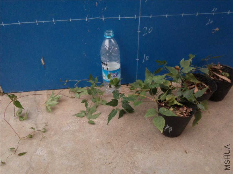 20151210171233���а�_����.jpg