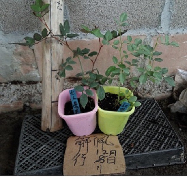@PU_(S6KL@REL5U9@ECENJN.jpg