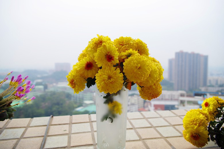 IMGP7485_����.jpg