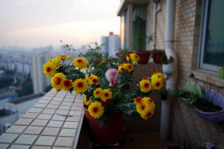IMGP7145_����.jpg