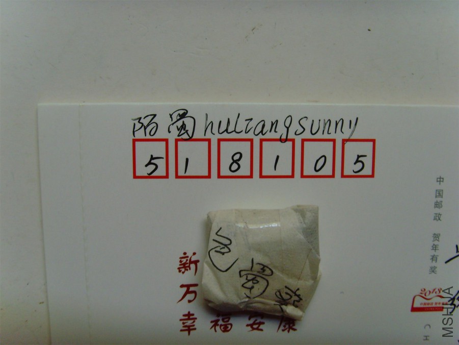 SNV30058.JPG