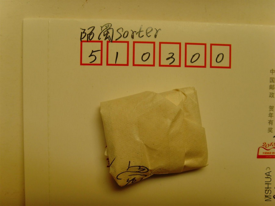 SNV30053.JPG
