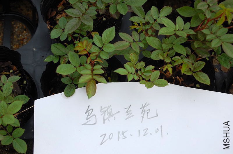 191804cdxy97o719dywk31.jpg