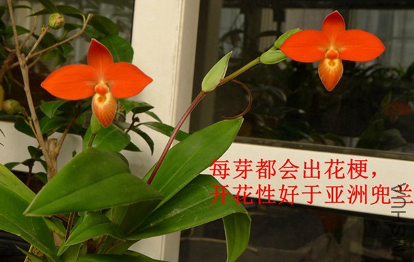 P1100829_����.jpg