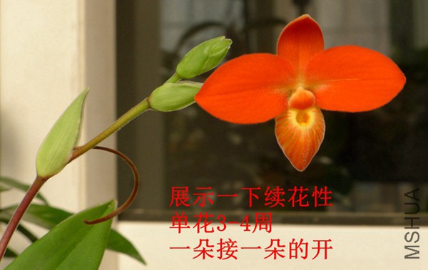 P1100840_����.jpg