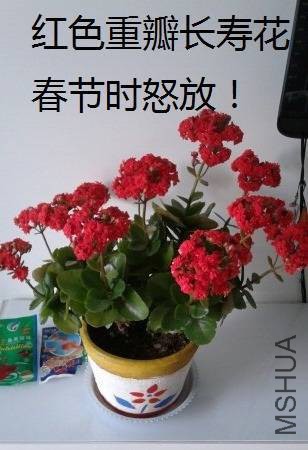 ͼƬ4.jpg