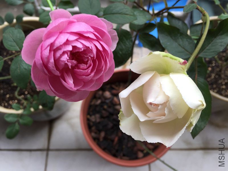 Ǯ������������