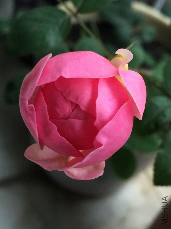 ��Ƭ 010.jpg