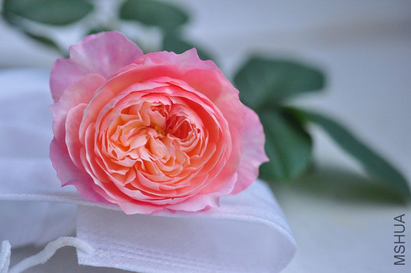��Ƭ 009.jpg