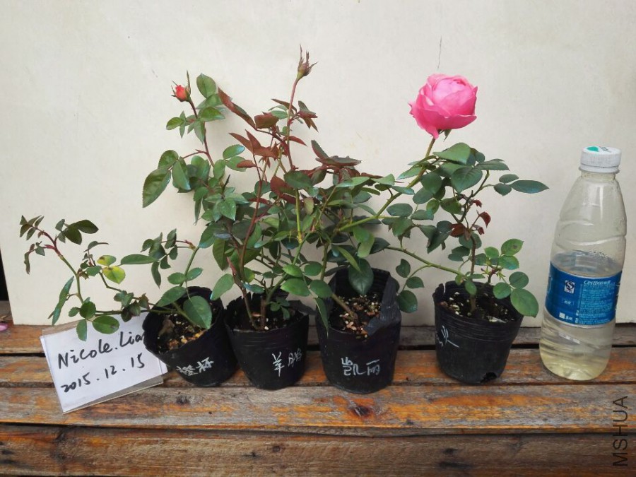 QQͼƬ20151215091456.jpg