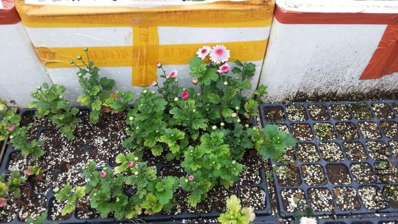 9e172cfe9925bc319fef66a159df8db1ca1370b8.jpg