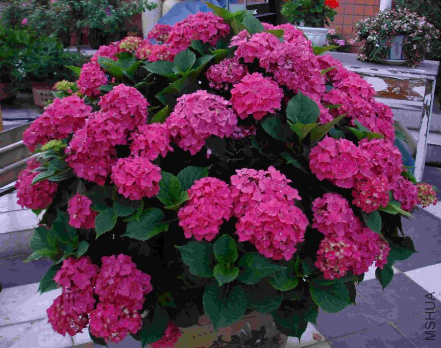 Resize of DSC02529_����_����.jpg