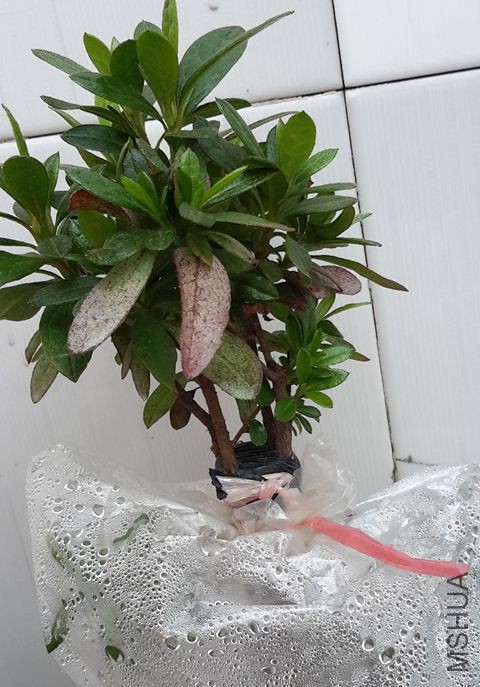 20151206_130525_����.jpg