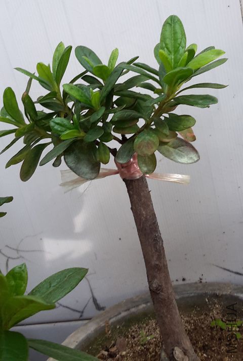 20151206_130615_����.jpg