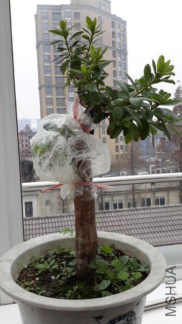 20151214_135059_����.jpg