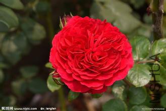 u=2846096627,2391609285&amp;fm=21&amp;gp=0.jpg