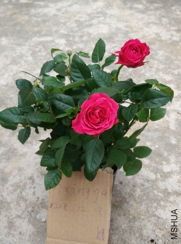 170922entkzd68elx4tnz8.jpg