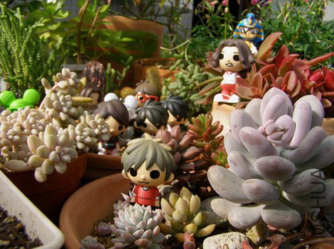 ���� PC060604.JPG