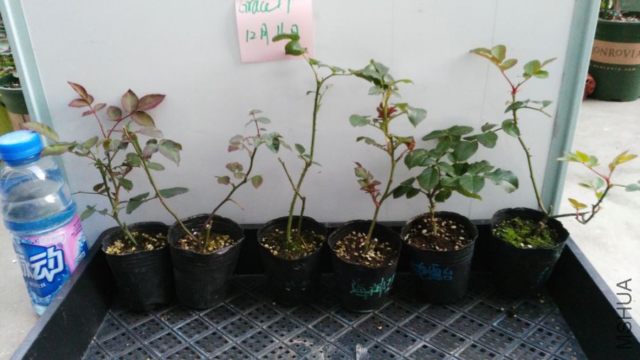 �� �� ��� ������ ��ɫ¶̨ ��ɺ��