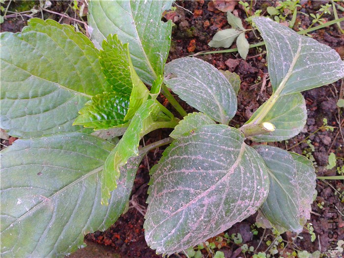 2015-12-17 07.50.07.jpg