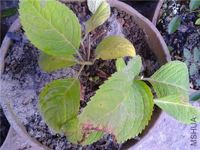 2015-12-17 07.49.39.jpg