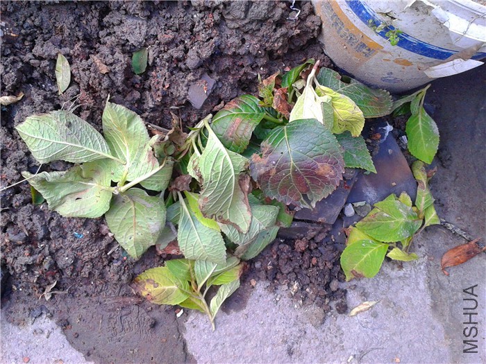 2015-12-17 07.49.58.jpg