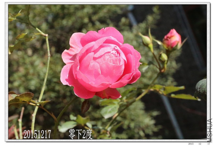 2015121707.jpg