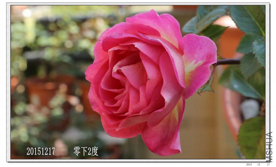2015121702.jpg