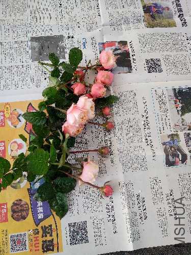 IMG20151217144051.jpg