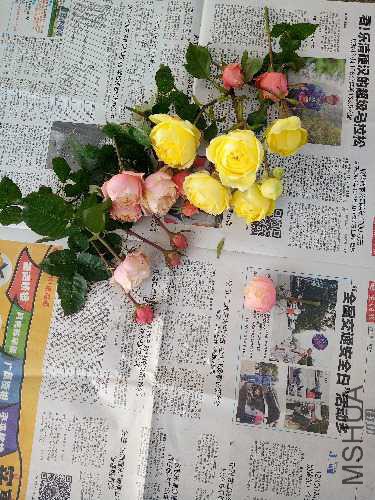 IMG20151217144242.jpg