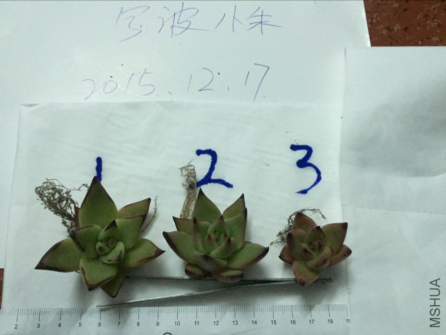 QQͼƬ20151217172526.jpg