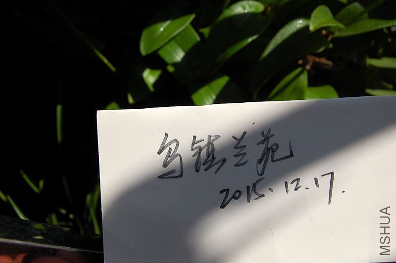 DSC_54510121.JPG