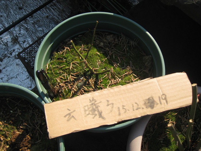 T����40Ԫ����.jpg